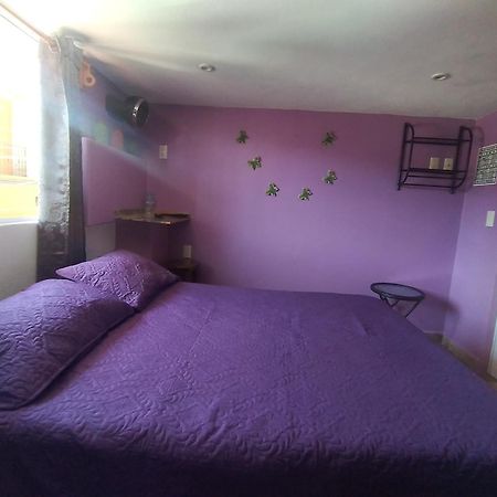 Hospedaje Casa Verde Tepoztlan Ngoại thất bức ảnh